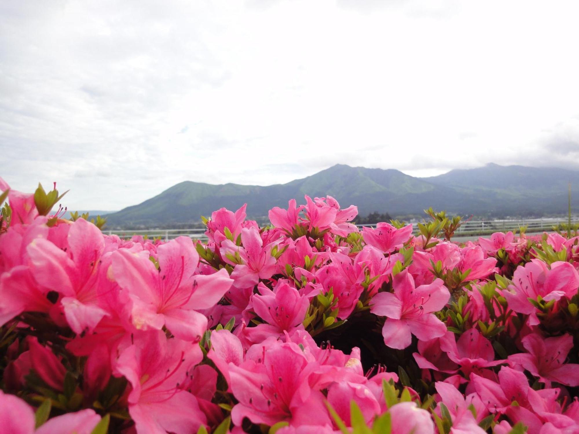 Shikino Mori Hotel Aso Exterior photo